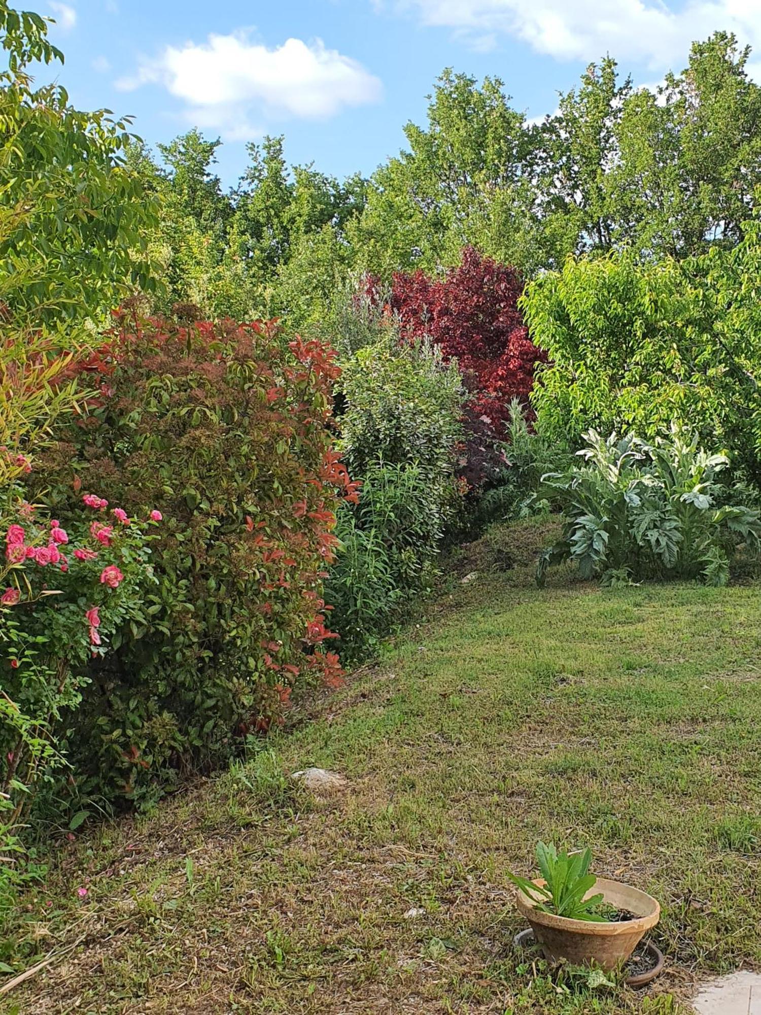 Hanna En Luberon - Le Boisset Saint-Martin-de-Castillon Екстериор снимка